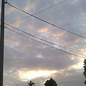 Meet your Posher, Breonna